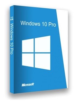 Windows 10 Pro x64 22H2 En-Us October 2023 Team-LiL torrent